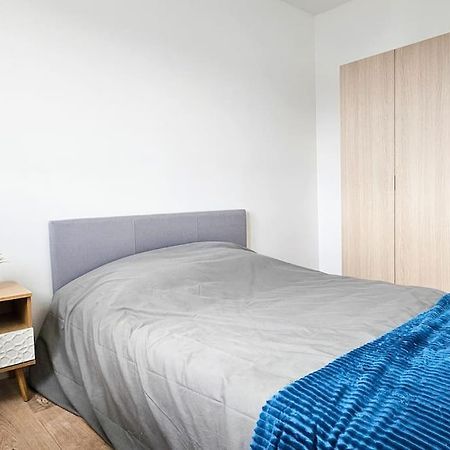 C'Est Chez Maurice! 4 Ch Wifi Balcon Parking Free Apartment Сент Етиен Екстериор снимка