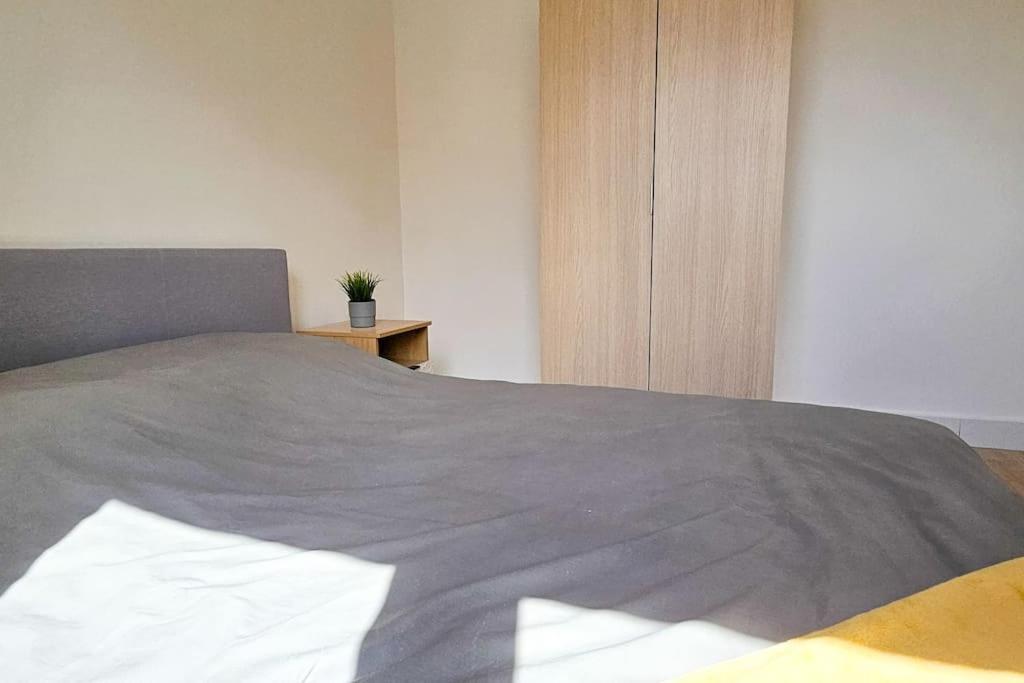 C'Est Chez Maurice! 4 Ch Wifi Balcon Parking Free Apartment Сент Етиен Екстериор снимка