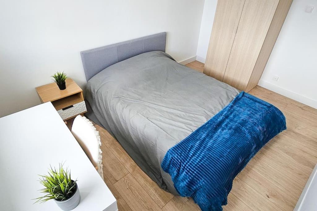 C'Est Chez Maurice! 4 Ch Wifi Balcon Parking Free Apartment Сент Етиен Екстериор снимка